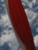 Colombia 2010 321.JPG